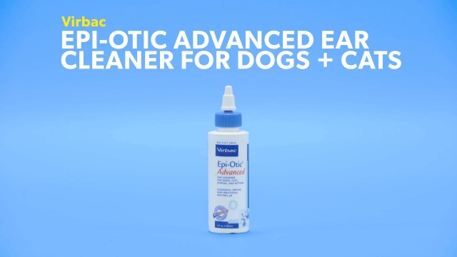 best ear care for dogs